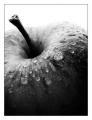 Apple_Black_and_White_by_The_Definition